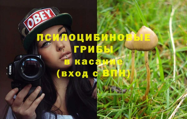 не бодяженный Алексин