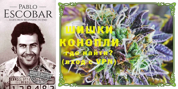 спайс Абаза